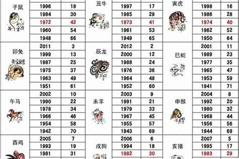 2000年是什麼生肖|2000年出生属什么生肖 2000年属龙是什么命